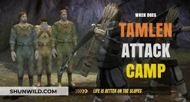 Tamlen's Assault on Camp: Timing and Strategies Unveiled