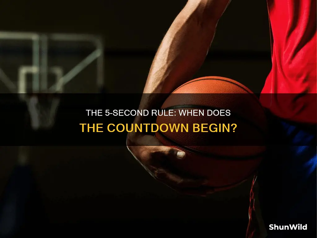 when does the 5 second count start in basketball