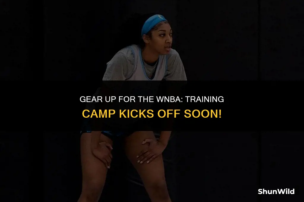 when does wnba camp start