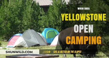 Exploring Yellowstone: A Guide to Camping Season Openings