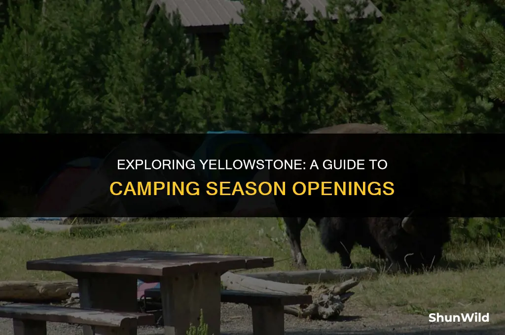 when does yellowstone open camping