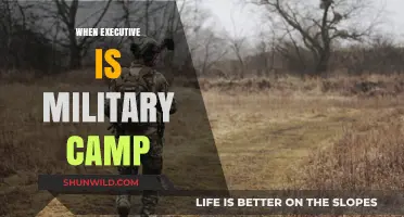 Strategic Leadership: When Executives Attend Military Boot Camp