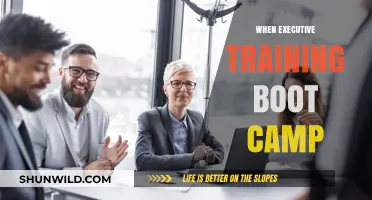 Transform Leadership Fast: Executive Training Boot Camp Strategies for Success