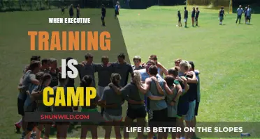 When Executive Training Goes Camp: A Fresh Approach to Leadership Development