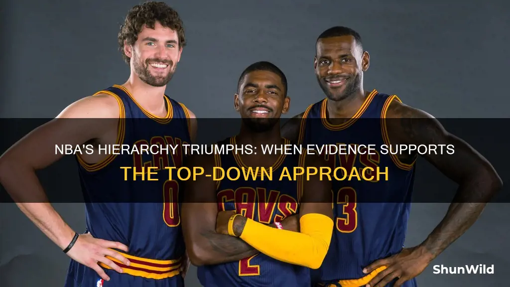 when hierarchy wins evidence from the national basketball association