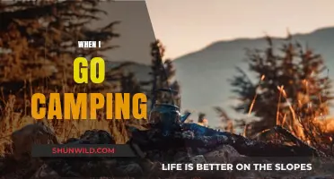 Embracing Nature: My Serene Camping Getaway