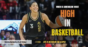Adrenaline-Fueled Basketball: Peak Moments of Intense Excitement