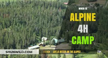 Summer Adventure Awaits: Alpine 4H Camp Dates Announced!