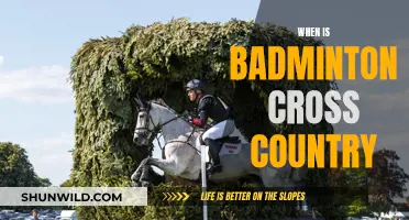 Badminton's Cross-Country Challenge