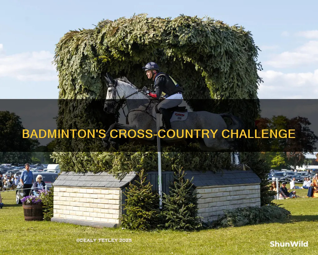 when is badminton cross country