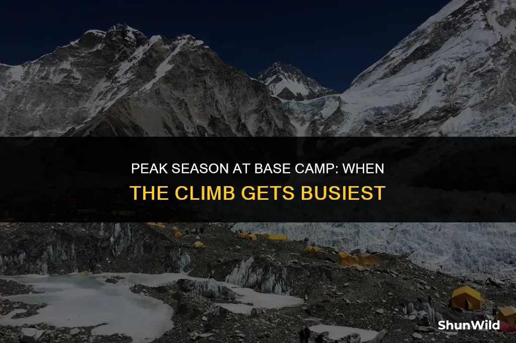when is base camp busiest
