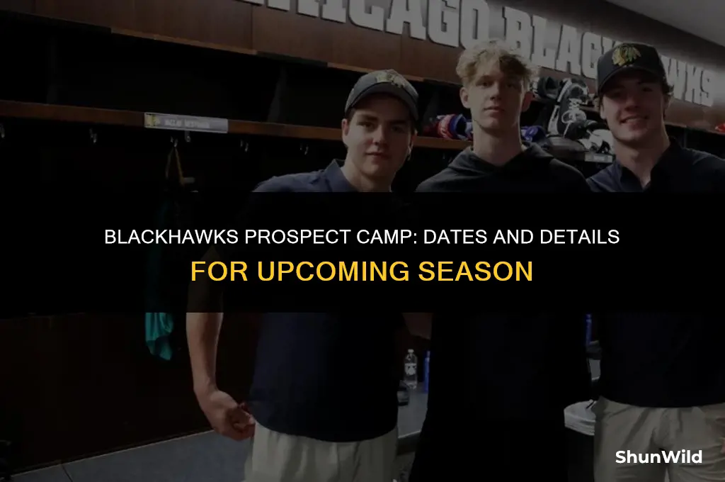 when is blackhawks pospect camp