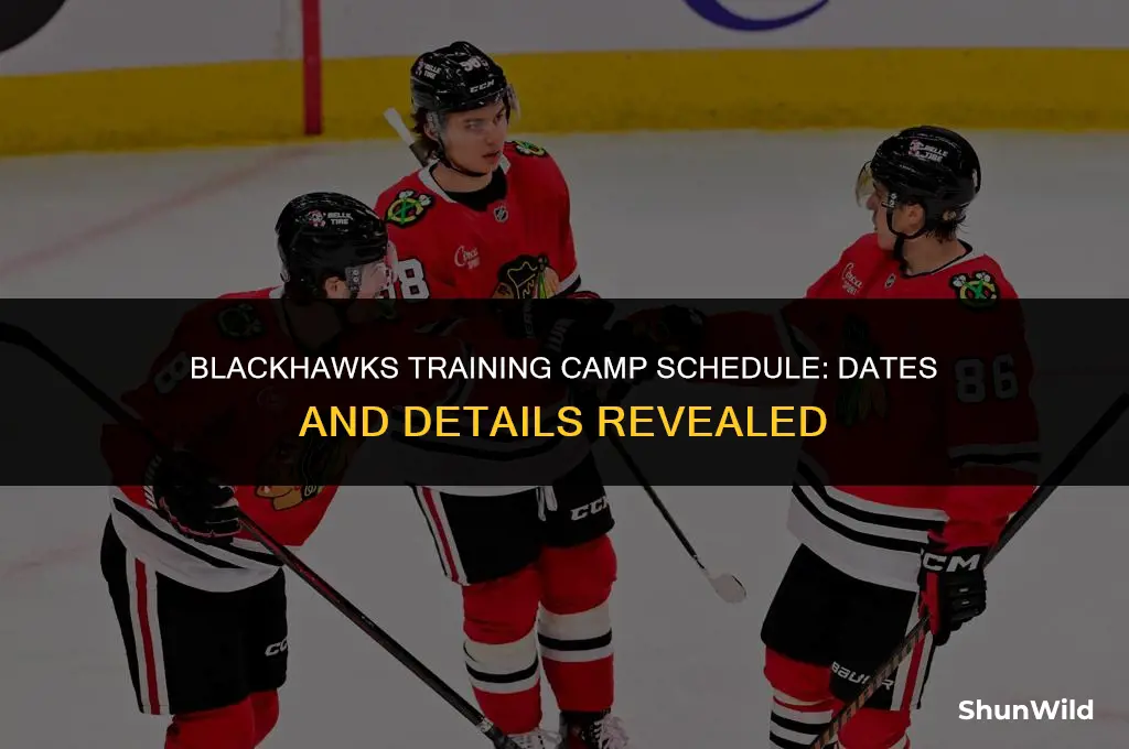 when is blackhawks training camp
