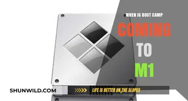 M1 Boot Camp Release Date: What We Know So Far