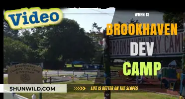 Brookhaven Dev Camp: Unveiling the Future of Gaming Development