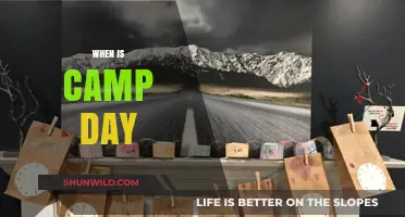 Summer Camp Chronicles: Marking the Days Until Adventure Begins