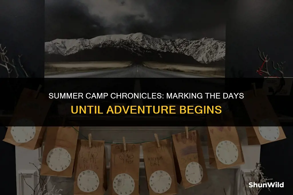when is camp day