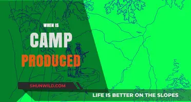 Exploring the Optimal Timing for Camp Production