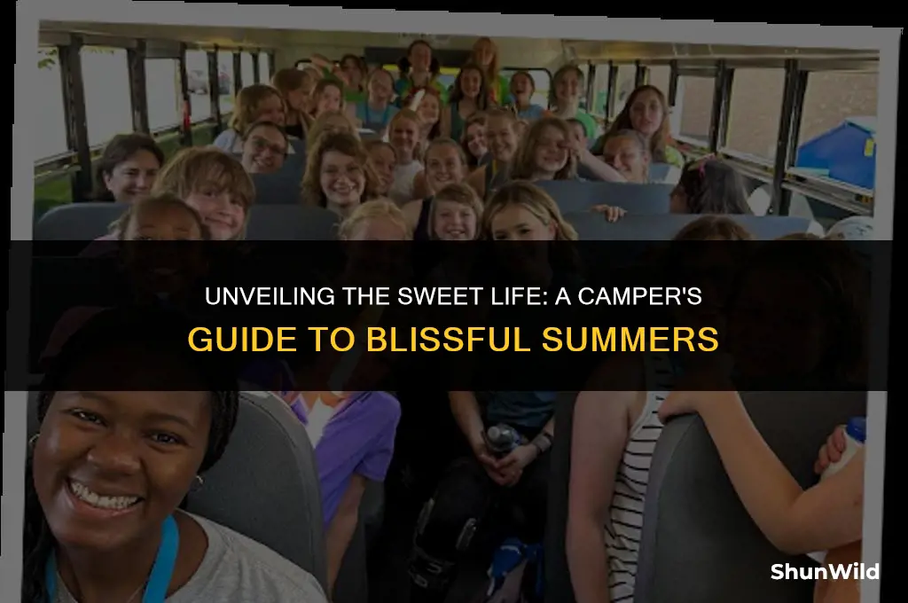 when is camp sweet life