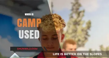 Exploring the Versatility of 'Camp' in Modern Language