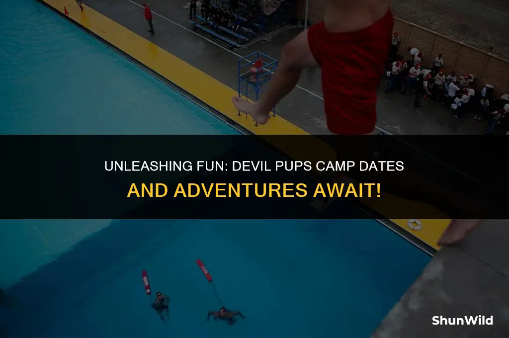 when is devil pups camp