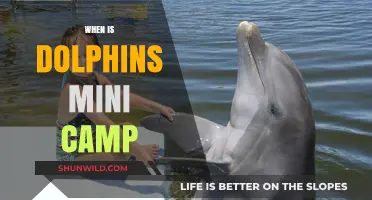 Dolphins Mini Camp Schedule: Everything You Need to Know