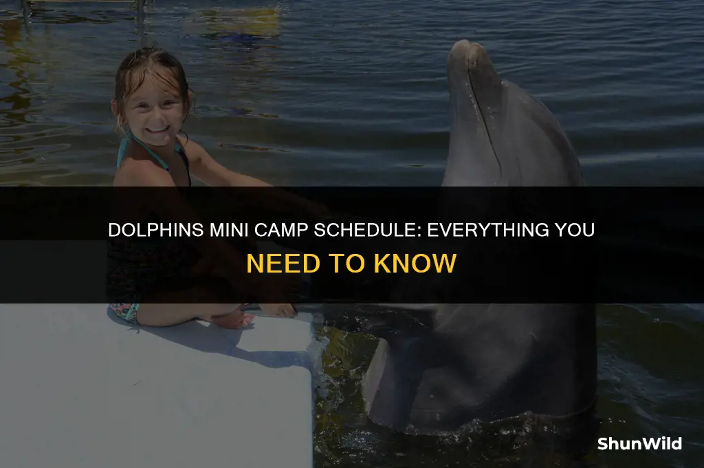 when is dolphins mini camp