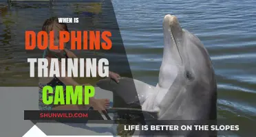 Dolphins Training Camp Schedule: Dates and Details Revealed
