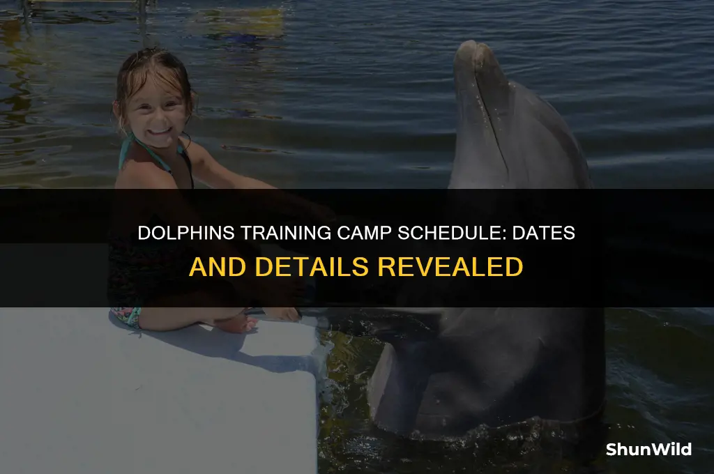 when is dolphins training camp