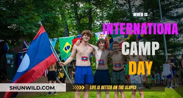 Celebrating International Camp Day: A Global Adventure Awaits!