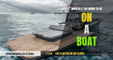 Windy Weather Woes: Boat Trips Banned?