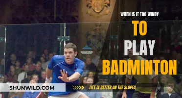 Wind and Badminton: When to Stop Playing?