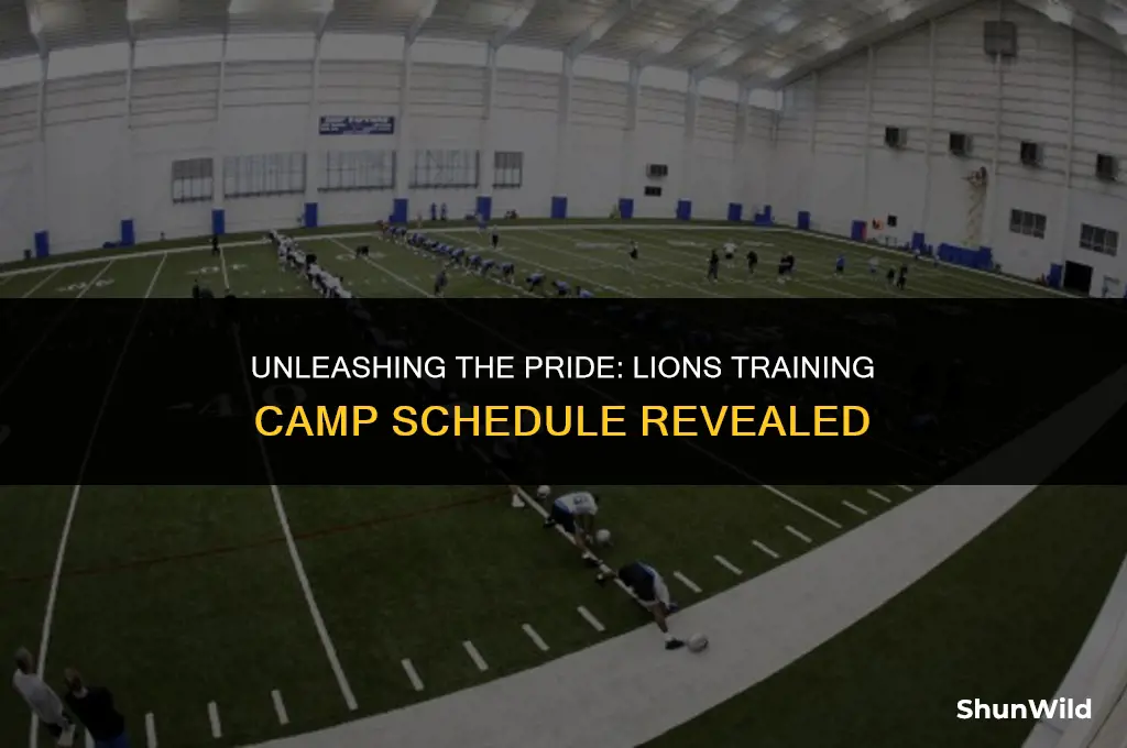 when is lions training camp
