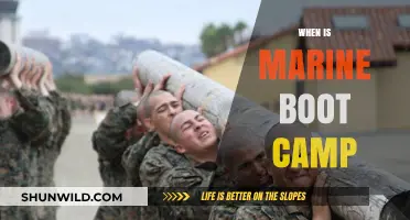 Marine Boot Camp Schedule: Timing and Preparation Guide