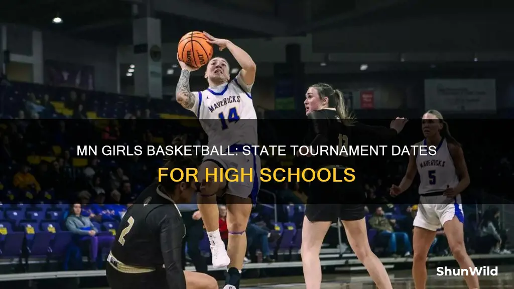 when is mn state hs girls basketball tournament