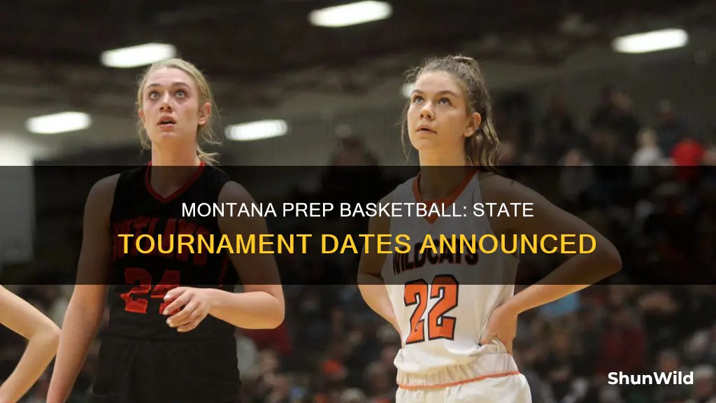 when is montana prep basketball state tournament