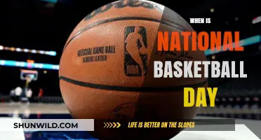 Celebrating National Basketball Day: A Day for Hoops Fans