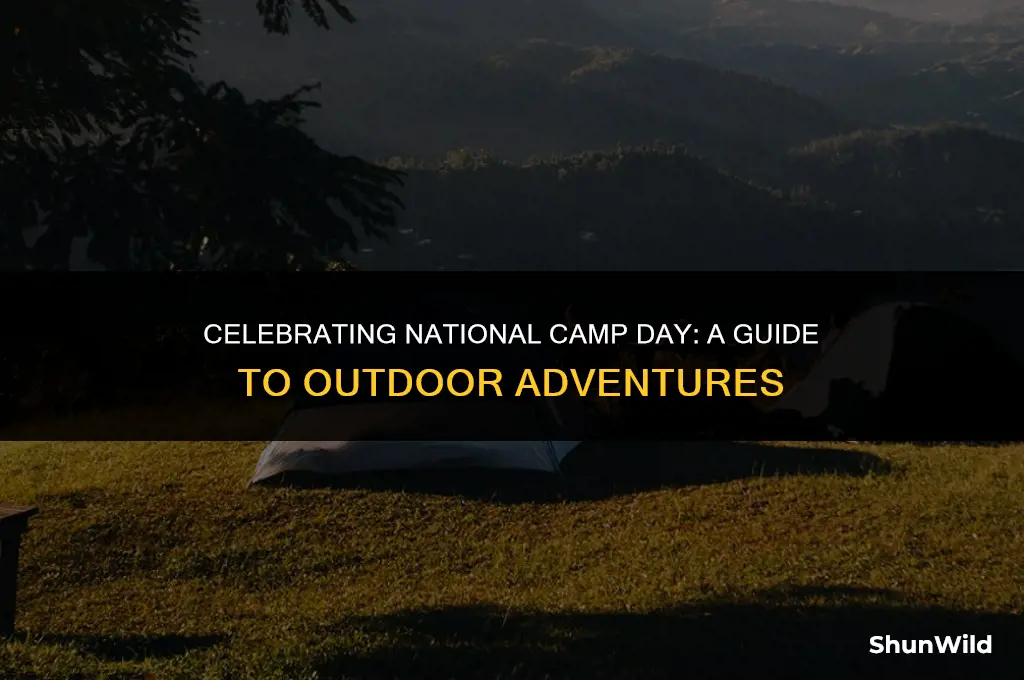 when is national camp day