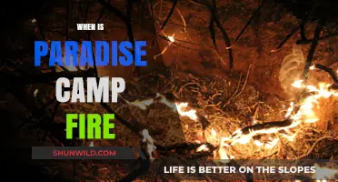 Blazing Memories: Paradise Campfire Nights Under the Stars