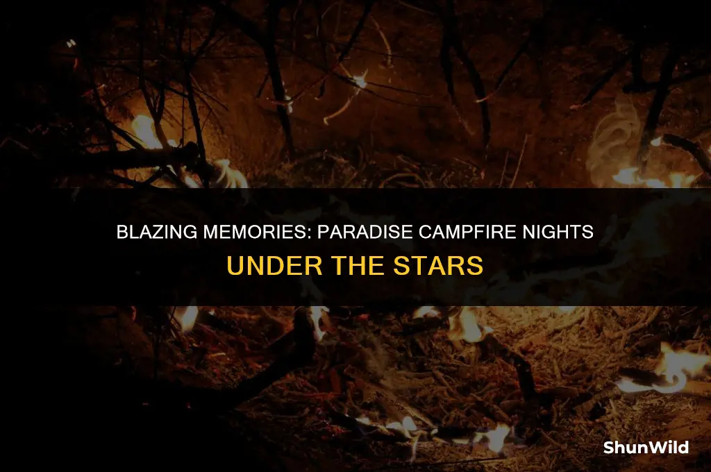 when is paradise camp fire