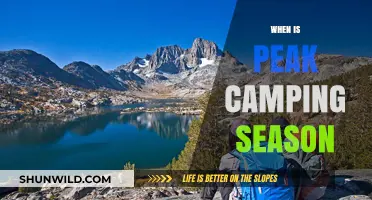 Discover the Best Time to Camp: Peak Season Insights