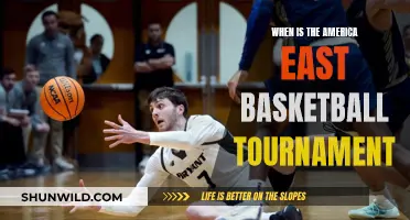 America East Basketball Tournament: When to Watch?