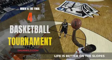 The Final Four: Basketball Tournament Climax