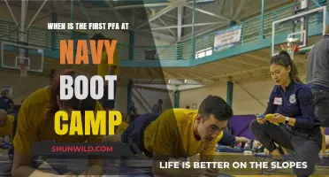 Navy Boot Camp PFA: When Does the First Fitness Test Happen?