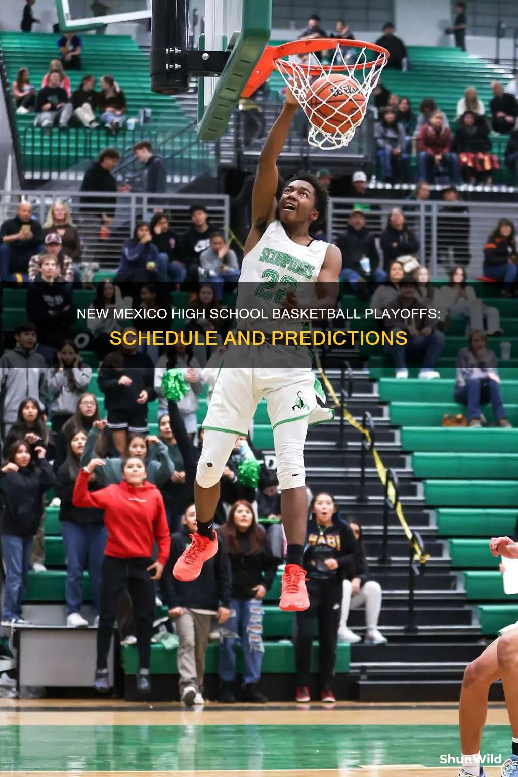 when is the high school state playoffs basketball nm
