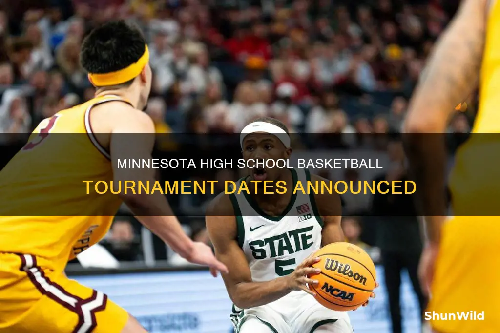 when is the minnesota high school basketball tournament