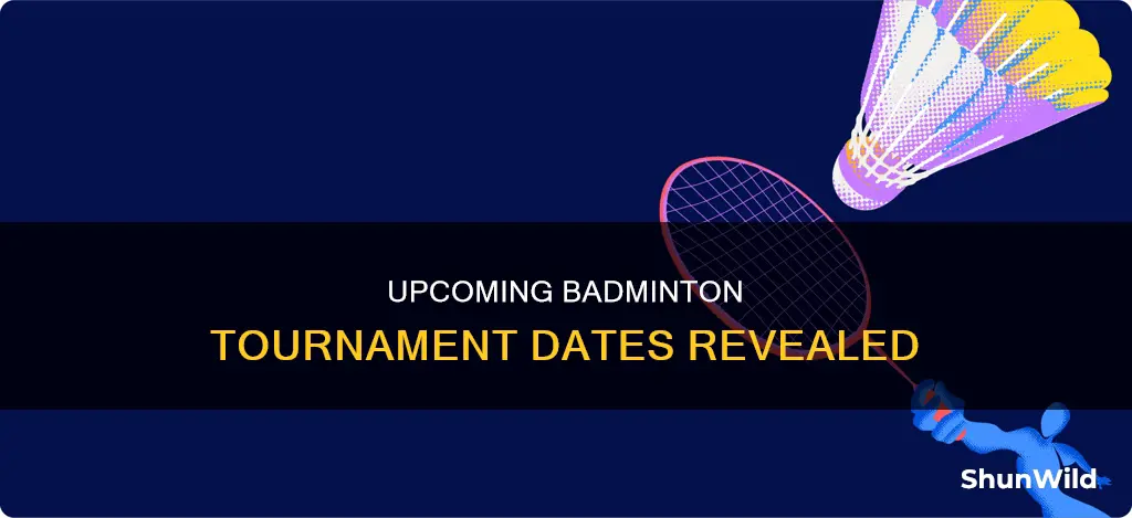 when is the next badminton tournament