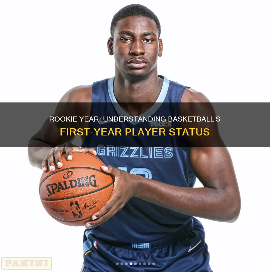 when is your rookie year in basketball