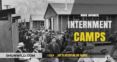 Unveiling the Hidden History: Japanese Internment Camps