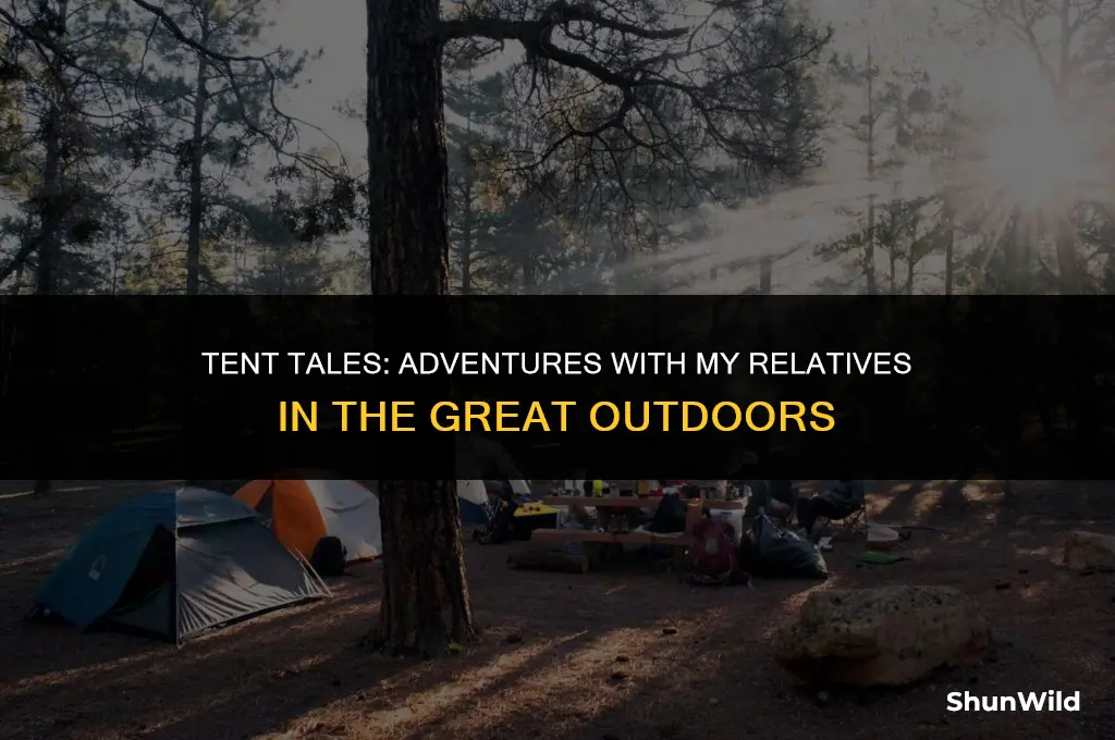 when my relatives go camping